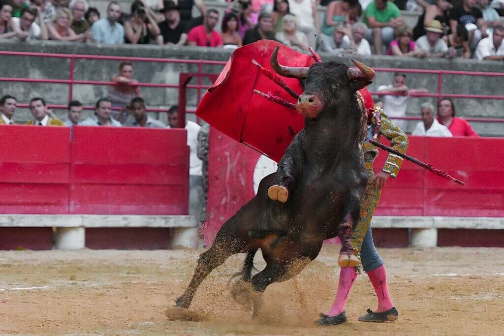 Matador kaempft mit Stier