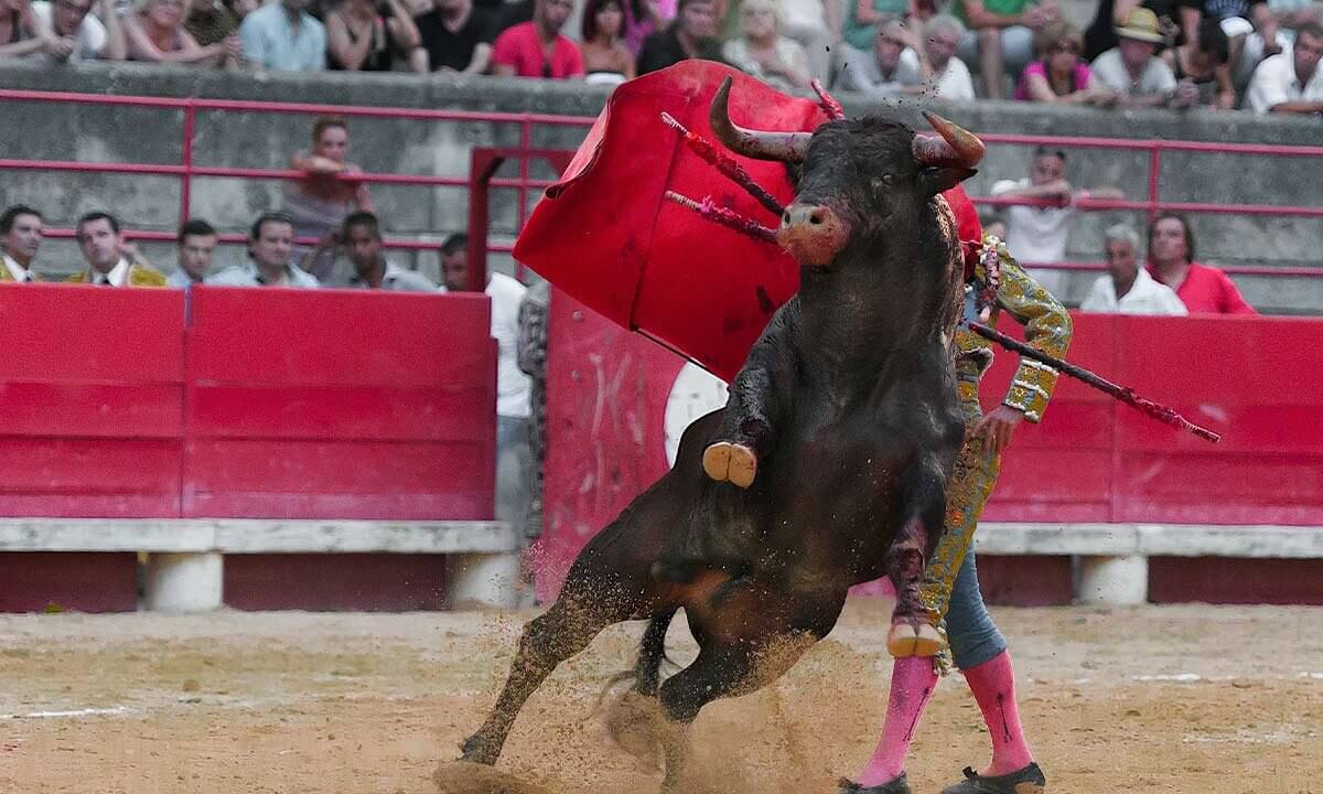 Matador kaempft mit Stier