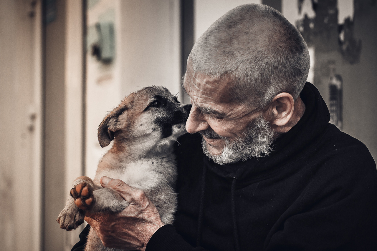 Tiere im Altenheim: der positive Einfluss von tierischen Mitbewohnern