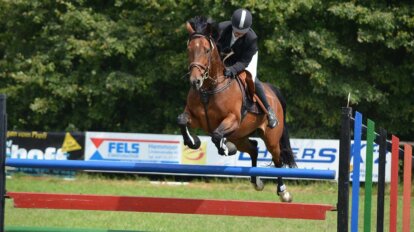 Pferd springt über eine Huerde