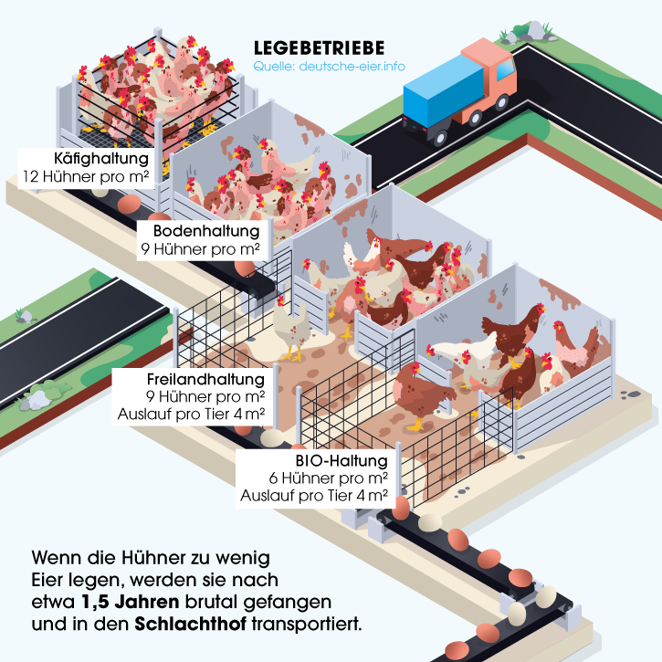 Grafik Legebetriebe