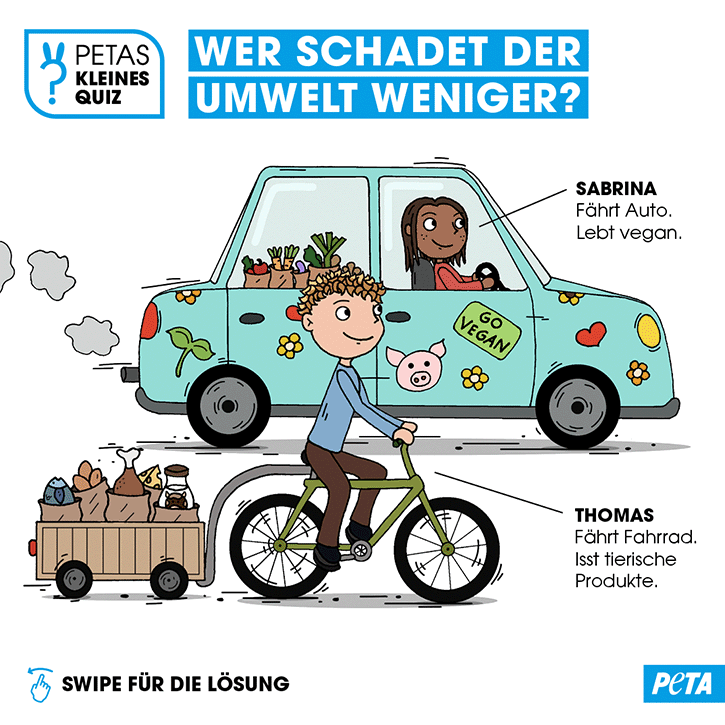 Grafik. Raetsel, wer ist klimaschaedlicher. Auto oder Ernaehrung