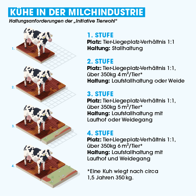 Haltungsform sogenannter Milchkuehe